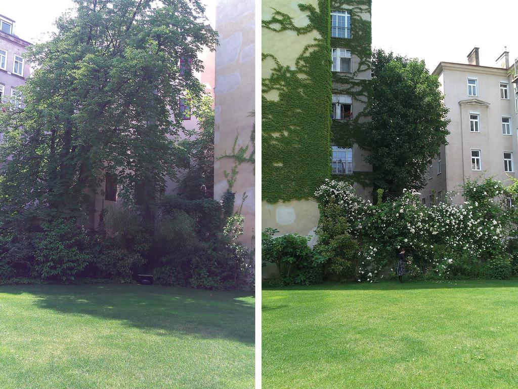 Garten Apartment Grunentorgasse 비엔나 외부 사진